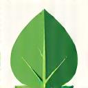 A leaf icon